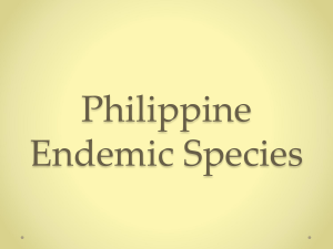 Biodiversity (Philippine Endemic Species)