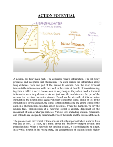 action potential note 