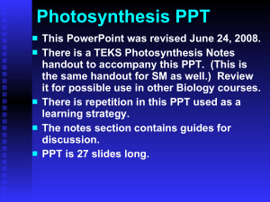 photosynthesisppt-111021080725-phpapp02