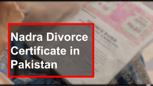 Concern For Divorce Certificate Nadra With Expert Lawyer