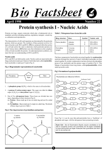  PROTEIN SYNTHESIS