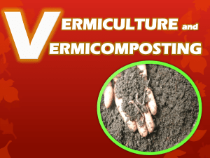 Vermiculture Presentation by KENNEDY BARAOED SADORRA