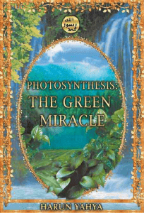 Photosynthesis green miracle 1e