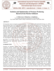 Isolation and Optimization of Protease Producing Bacteria from Marine Sediment