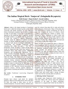 The Indian Magical Herb"Sanjeevni' Selaginella Bryopteris