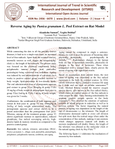 Reverse Aging by Punica granatum L. Peel Extract on Rat Model