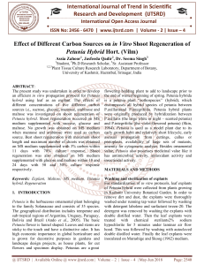 Effect of Different Carbon Sources on in Vitro Shoot Regeneration of Petunia Hybrid Hort. Vilm