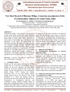New Host Record of Blossom Midge, Contarinia maculipennis Felt Cecidomyiidae Diptera in Tamil Nadu, India