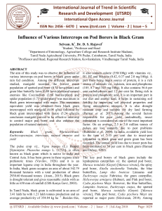 Influence of Various Intercrops on Pod Borers in Black Gram