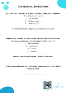 Photosynthesis Part III - Worksheet (1)