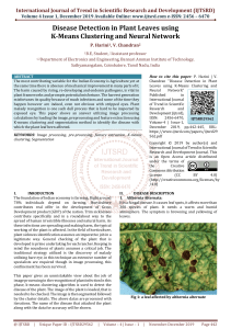 Disease Detection in Plant Leaves using K-Means Clustering and Neural Network