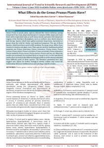 What Effects do the Genus Prunus Plants Have