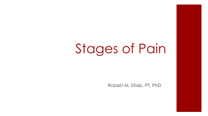 5  Stages of Pain