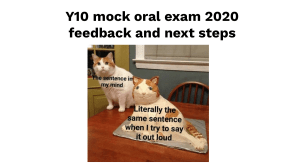 Mock oral feedback 2020