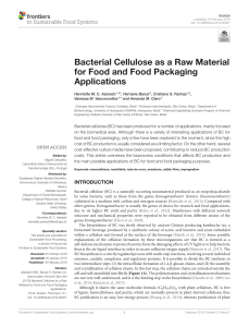 Bacterial Cellulose as a Raw Material for Food and