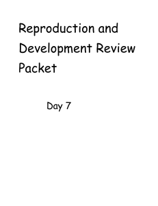 Reproduction and Devopment Review Packet Day 7 (1)