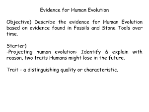 evidence for human evolution