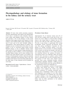 Physiopathology and etiology of stone formation