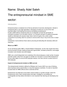 The entrepreneurial mindset in SME sector - Shady Adel Saleh