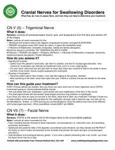 Cranial Nerve Review 1