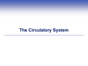 2. Circulatory System