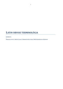 Latin Orvosi Terminologia