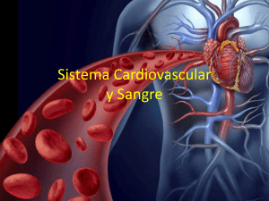 Sistema Cardiovascular y Sangre