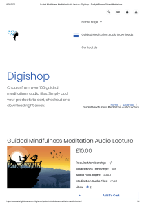 Guided Mindfulness Meditation Audio Lecture