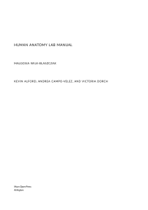 Human-Anatomy-Lab-Manual-1535056949