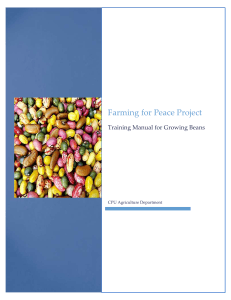Agriculture -Bean Growing Training Manual