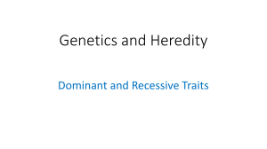 Yr 10 - Genetics V - Dominant and recessive traits