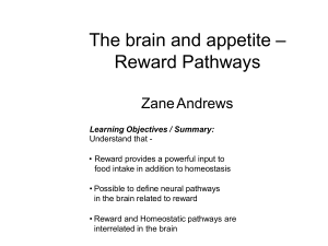 Lecture-5-The-brain-and-appetite-reward-pathways