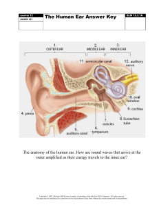 Human Ear KEY