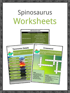 Sample-Spinosaurus-Worksheets