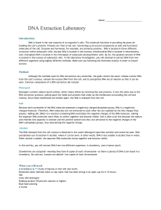 DNA Lab