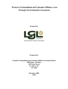 Western Newfoundland & Labrador Offshore Area Strategic Environmental Assessment