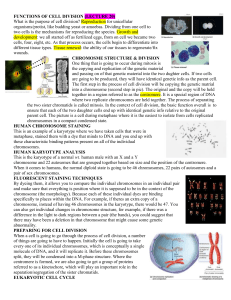 Cell Divison Study Guide