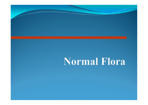 13 Normal flora
