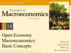 Basic concepts of Open Economy Macroeconomics (4)