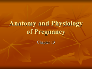 Anatomy and Physiology of Pregnancy 2015 use this one