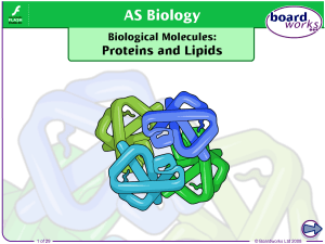 Biological Molecules: Proteins and Lipids
