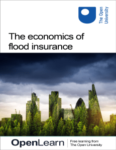 the economics of flood insurance