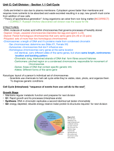 Unit C1  Cell Division