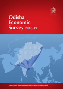 Economic Survey 2018-19