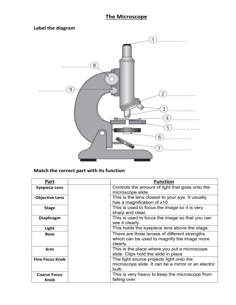 Parts Of A Microscope Worksheet Answers