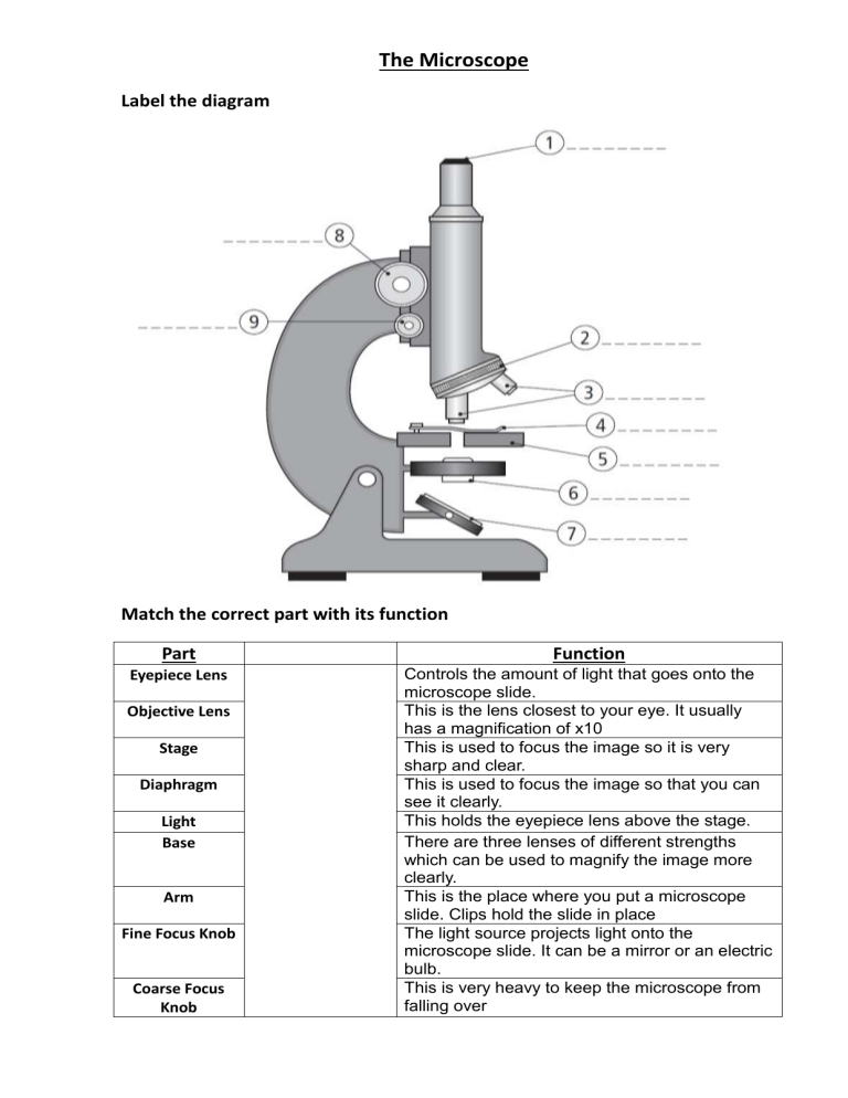 Microscope Worksheet 1