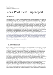 Rock pool Field Report