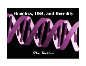 genes1