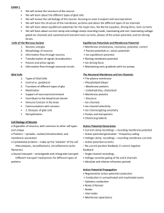 Neuro Exam 1 Objectives