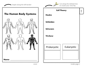 human body flap book black and white